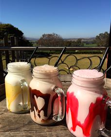 Hollydene Estate Wines And Vines Restaurant - Accommodation NSW 6
