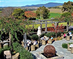 Hollydene Estate Wines And Vines Restaurant - Accommodation NSW 8