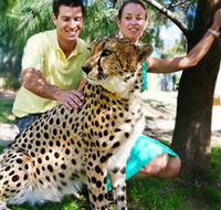 National Zoo  Aquarium - Accommodation NSW