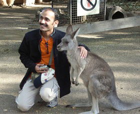 Activity Tours Australia - Accommodation NSW 3