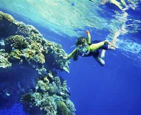 My Mates Tours - Accommodation NSW 0