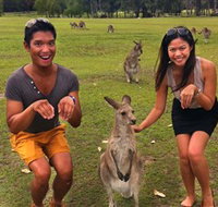 Runaway Tours - Accommodation NSW
