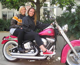Wild Ride Harley And Motorcycle Tours - Accommodation NSW 0