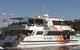 Fantasea Cruising Sydney - thumb 6