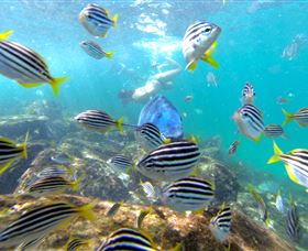 EcoTreasures - Accommodation NSW 0
