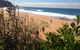 EcoTreasures - thumb 2