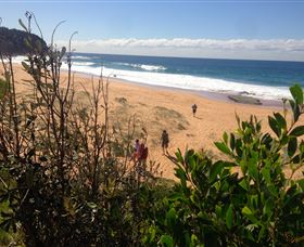 EcoTreasures - Accommodation NSW 2
