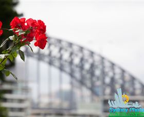 Sydney Photo Tours - Accommodation NSW 3