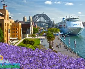 Sydney Photo Tours - Accommodation NSW 5