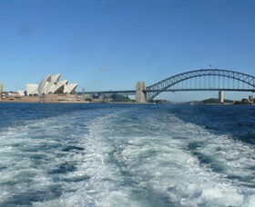 Oz Whale Watching - Accommodation NSW 5