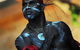 Spirit Moves Aboriginal Dance Company - thumb 1