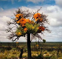 The Delmar Gallery - Accommodation NSW