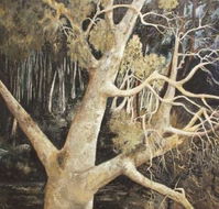 Ku-Ring-Gai Art Centre  Gallery - Accommodation NSW