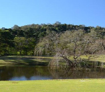 Antill Park Country Golf Club - Accommodation NSW 1