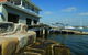 Sydney Rowing Club - thumb 0