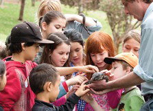 Blackbutt Reserve - Accommodation NSW 2