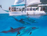 Imagine Cruises - Accommodation NSW 2