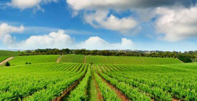 Sydney Weekend Adventures - Accommodation NSW 2