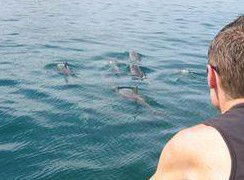 Tex Tours - Accommodation NSW 3