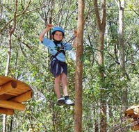 TreeTops Newcastle - Accommodation NSW