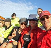 Byron Bay Whale Watching - Accommodation NSW