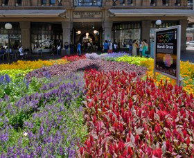 Queen Victoria Building - Accommodation NSW 1