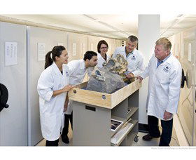 Behind The Scenes Tours At Australian Museum - Accommodation NSW 0