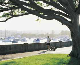 Sydney Harbour Circle Walk - Accommodation NSW 0
