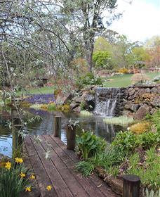 TCP Day Tours - Accommodation NSW 4