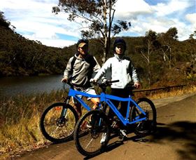 TCP Day Tours - Accommodation NSW 5
