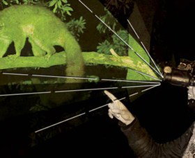 After Dark Nature Tours - Accommodation NSW 0