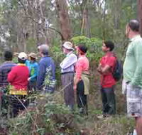 Boronia Tours - Accommodation NSW