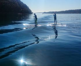 Avalon Stand Up Paddle - Accommodation NSW 2
