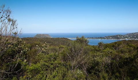 Aboriginal Heritage Walk - Accommodation NSW 1