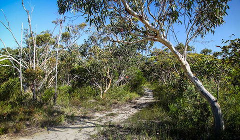 Aboriginal Heritage Walk - Accommodation NSW 2
