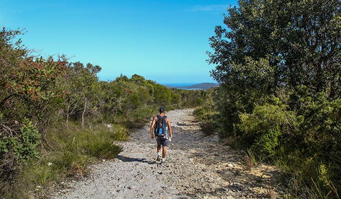 Aboriginal Heritage Walk - Accommodation NSW 3
