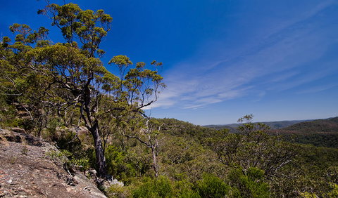 Marramarra National Park - Accommodation NSW 1