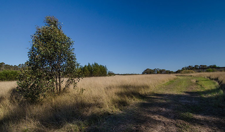 Oakville NSW Accommodation NSW