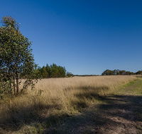 Scheyville horse riding trails - Accommodation NSW