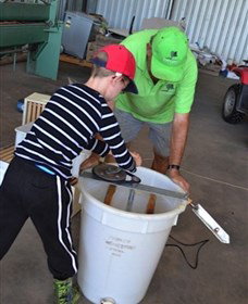 Canoelands Orchard - Accommodation NSW 2