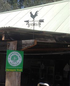 Canoelands Orchard - Accommodation NSW 3