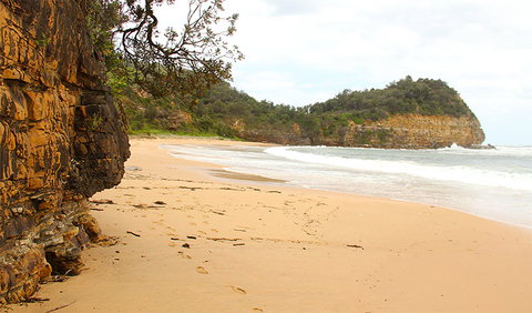 Bouddi Coastal Walk - Accommodation NSW 1