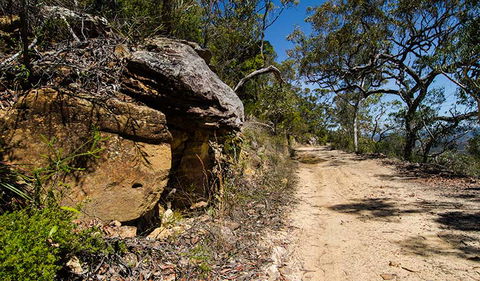 Canoelands Ridge Walking Track - Accommodation NSW 0
