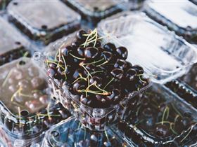 Adelaide Farmers' Market Showground - Accommodation NSW 1