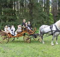 Classic Carriage Drives - Accommodation NSW