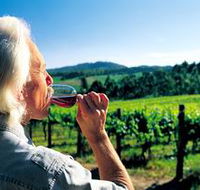 Ashton Hills Vineyard - Accommodation NSW