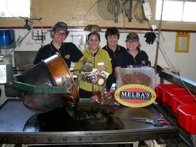 Melba's Chocolate And Confectionery Factory - Accommodation NSW 1