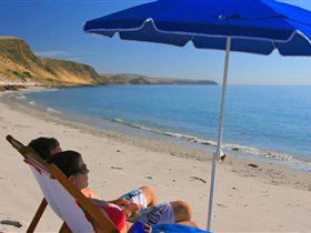 Lady Bay Beach - Accommodation NSW 0