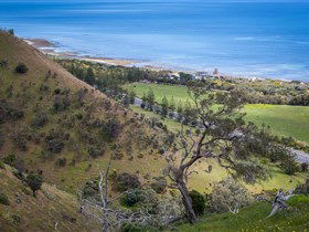 Lady Bay Beach - Accommodation NSW 1