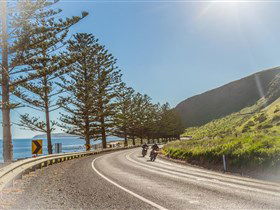 Lady Bay Beach - Accommodation NSW 2